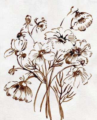 Image Not Available